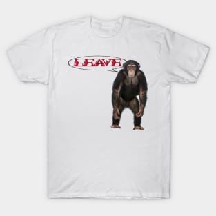 singe T-Shirt